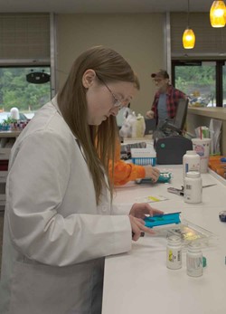 Makayla McNew counts pills to fill a prescription at her weekend job as a pharmacy intern at a Corbin pharmacy. A Laurel County High School alumnae, McNew is in her first year at University of Kentucky’s pharmacy school.